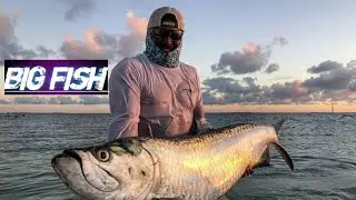 😱🔥🐬Caught a REAL Monster Fish! 😱🔥
