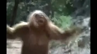 Jack Links Messin With Sasquatch Commercial