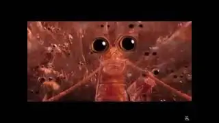 Shrimp gang