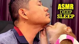 ASMR Monkey Grooming for DEEP SLEEP & Total Relax | Real Pure Tingles No Talk