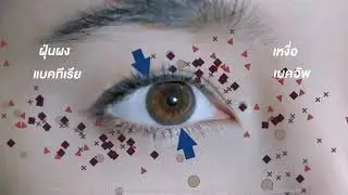 ผลิตภัณฑ์ทำความสะอาดขอบตา OCuSOFT Original