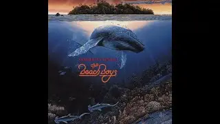 The Beach Boys - Island Fever