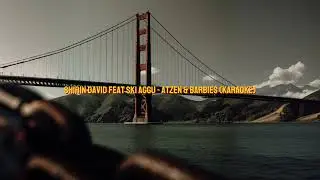 Shirin David Feat Ski Aggu Atzen & Barbies (instrument/karaoke)