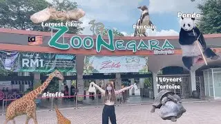 【Couple Vlog #11】| Malaysia Zoo Negara - 可可爱爱的国宝panda🐼，大老鼠capybara🐭，Animal Show🐒🐔🐤🐢🐍🦎🦒🕊🦜🦭