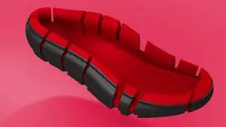 The revolutionary shoe that would change the footwear industry