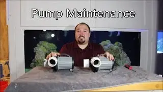 Pump Maintenance