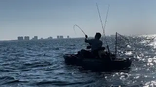 Massive king fish while kayaking 2 miles off Panama! 