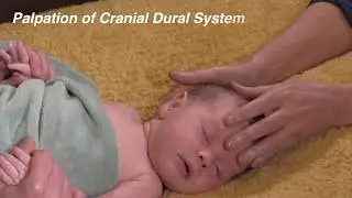 Treating the Effects of Birth Interventions TRAILER
