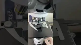 Blood Under The Microscope | TULO - Microscope #shorts #microscope