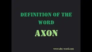 Definition of the word 