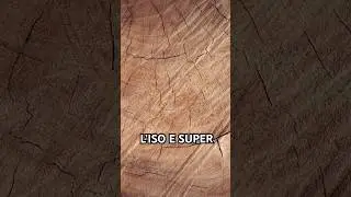 l&rsquo;ISO E Super, cette mol&eacute;cule culte capable de transformer n&rsquo;importe quel parfum #parfum #fragrance