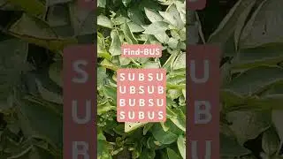 Observation Visual Test: 5 Seconds ForYou To Spot BUS. Try Your Skills! #search #puzzle #shorts