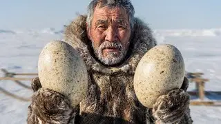 How Inuit Harvested Down & Eggs to Survive the Arctic