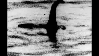 Loch Ness Monster - Surgeon's Photo - real or fake?