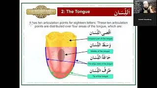 Master the 17 Articulation Points of Arabic Letters | Tajweed Made Easy &ndash; Makharij al-Huruf Guide