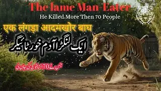 The Monster Tiger That Ruled a Jungle — Until One Man Challenge it || True Story || @Mr-JD9047 