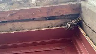 Restoring the Abraham Hasbrouck House Windows & Doors