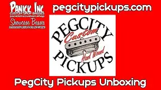 Unboxing PegCity Custom Handwound Pickups! | Panick Inc Showcase Bass Project