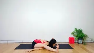How to do Tortoise Pose | Seated Yoga Pose | Kurmasana with iRyne Yogavatar