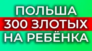300 злотых на ребёнка в Польше. Dobry Start