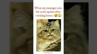When my manager asks for the work update after working hours🤣😅