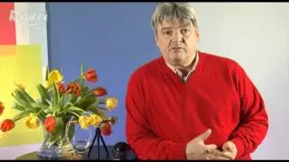 Richard Weigerstorfer &uuml;ber Urteilchenenergie und Quantenphysik 4