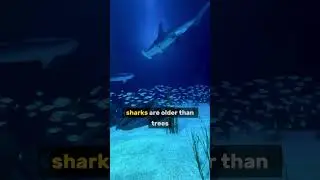 3 Real Facts About Animals & Nature 🌿 | Science Explained #shorts