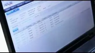Netsisim
