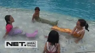 Wah! Begini Serunya Berenang Di Kolam Renang Dengan Kostum Mermaid - NET JATENG