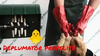 Deplumator prepelite Demetra EU PROFI BIRDS DESK Перосъемная машина - Magazin FlexMag.md