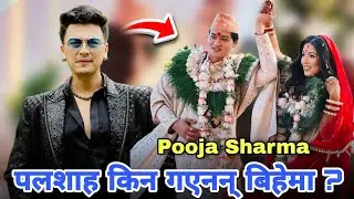 Paul Shah didn't go in pooja's Weeding why ? pooja Sharma |  Yuddha Baniya Marriage, wedding