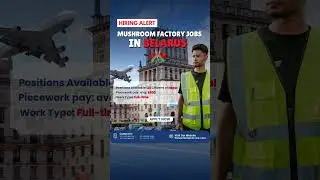 🛠️ Hiring Alert: Mushroom Factory Jobs in Belarus 🇧🇾