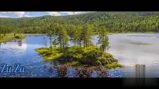 Desert Rose.  Remix .   T.I.M feat Malika