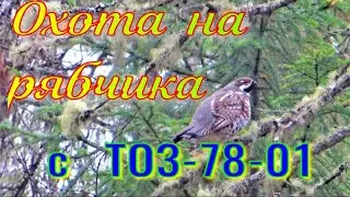 Охота на рябчика с ТОЗ-78 плюсы минусы привыкаю к нарезному оружию заготавливаю приваду на соболя