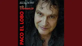 Ay Mi Paco