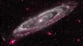 Probe