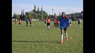 Calgary Bison Academy and FC Summer Soccer Camp 2024
