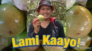KALAMI! STAR APPLE O AKO?(MUKBANG) BONDAKS TV