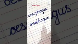 Oesophagus in cursive #calligraphy #calligraphy #handwriting #viral #shorts #asmr #art