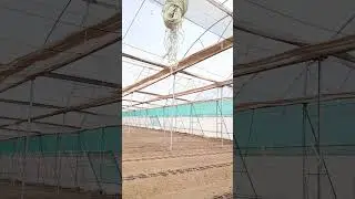 polyhouse cost for 1 acre in india /polyhouse farming in india /polyhouse me khira ki kheti /cucu...