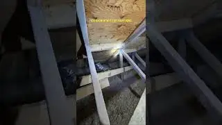 Water leakage and mold growth. Toronto home inspection #torontohomes #torontorealestate