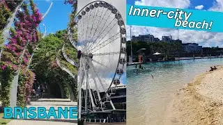 Brisbane South Bank Walking Tour | Things to do in Brisbane Australia | Travel vlog