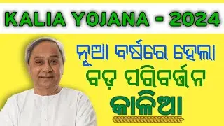 Big update in the Kalia Yojana for Nabin on New Year 2024 | kalia yojana odisha 2024