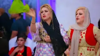 Best Kurdish wedding dance Farshad nikraftar 2024 | zamawand halparke kurdi  #2