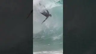 Lip to the nuts back to the dry sand 😬 #alternativesurf #bodyboarding #surfing #sendit