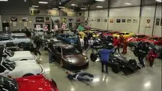 Harlem Shake Cats Exotics