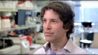 UW Medicine's influential scientists: David Baker