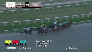 CARRERAS MARONAS 1°/2/26 | EN VIVO | URUGUAY
