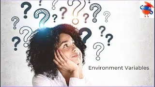 How to use Environment Variables | 
