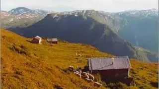 Hamborgar(Hardingfele)